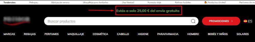 Envío gratuito ecommerce